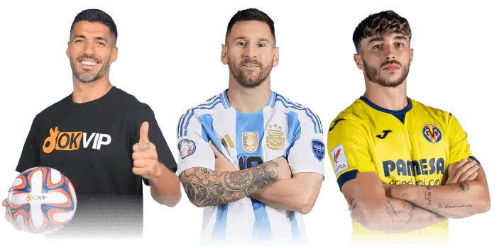 đối tác chính thức